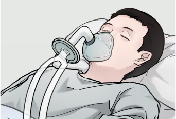 M-режим, анатомический M-режим (AMM)