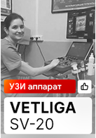 Видеоотзыв от ветеринарного врача Комлевой Натальи Александровны