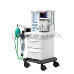 MS Westfalia Maja X45