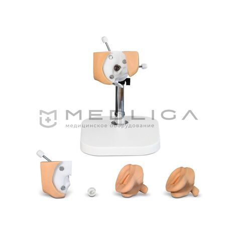 Тренажер по отиатрии, 4