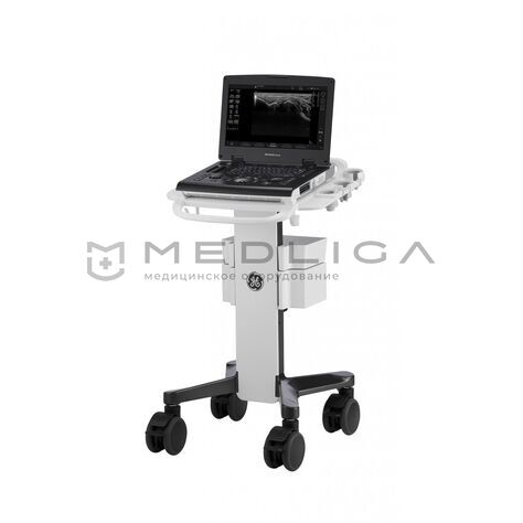 GE Versana Active, 2