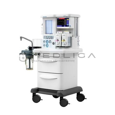 MS Westfalia Maja X45, 6