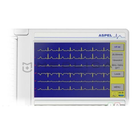 ASPEL AsCARD Grey v.205, 3