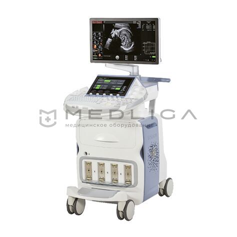 GE Healthcare Voluson E10 BT 21